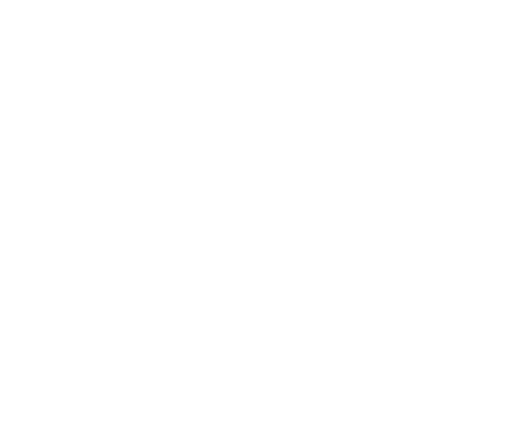Logo białe James House